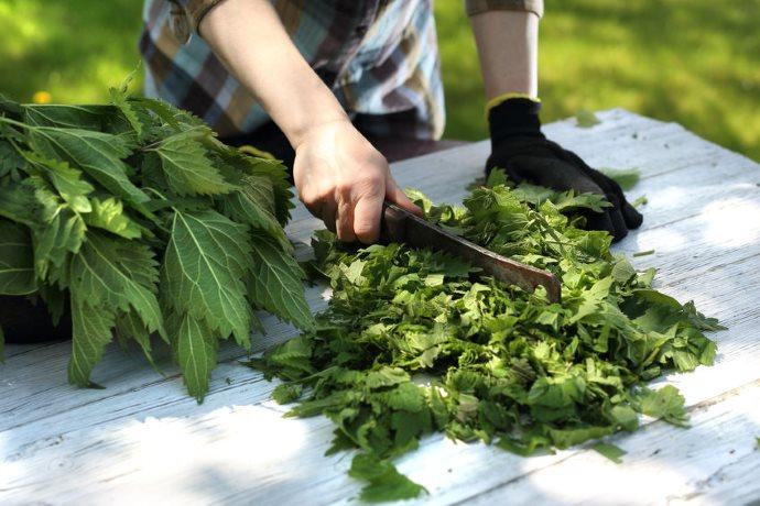 nettle_kitchen