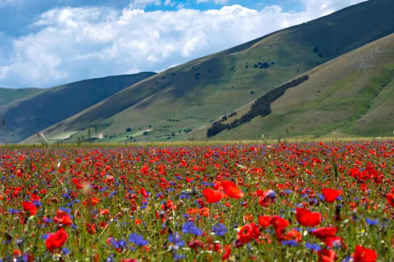 castelluccio di norcia