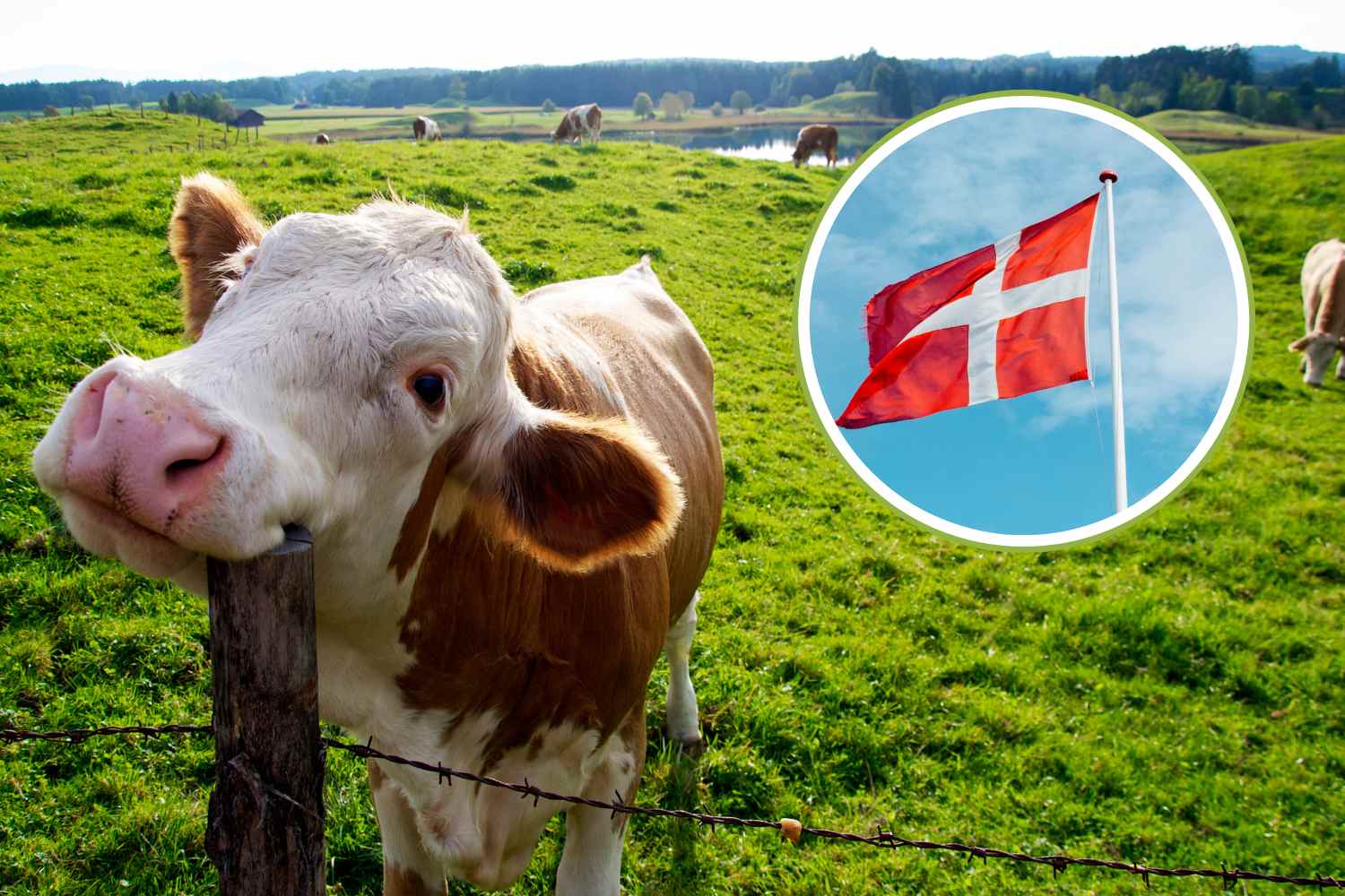 Denmark says goodbye to the Ministry of Agriculture: it will be replaced by the Ministry for Nature and Animal Welfare