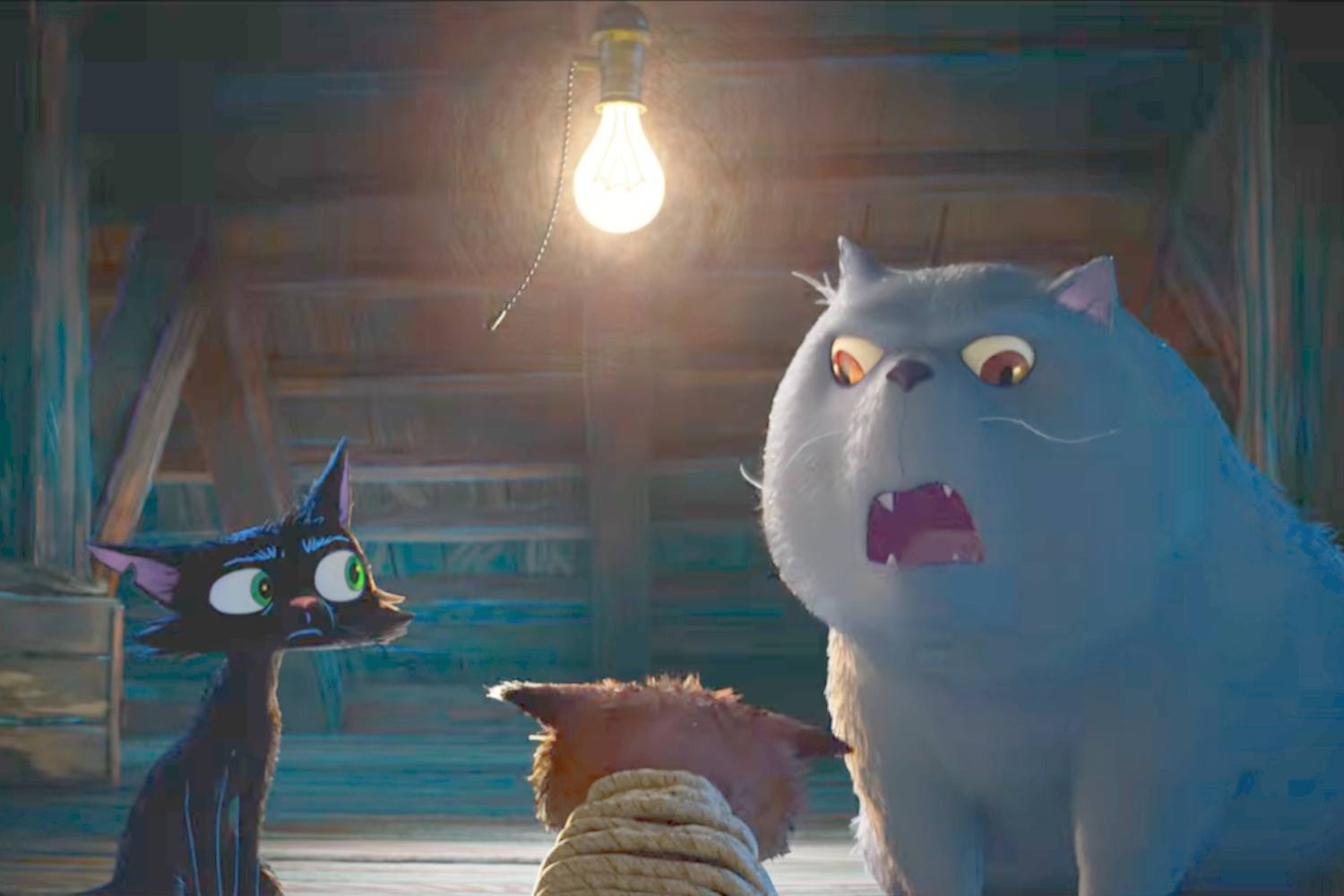Gatto Disney