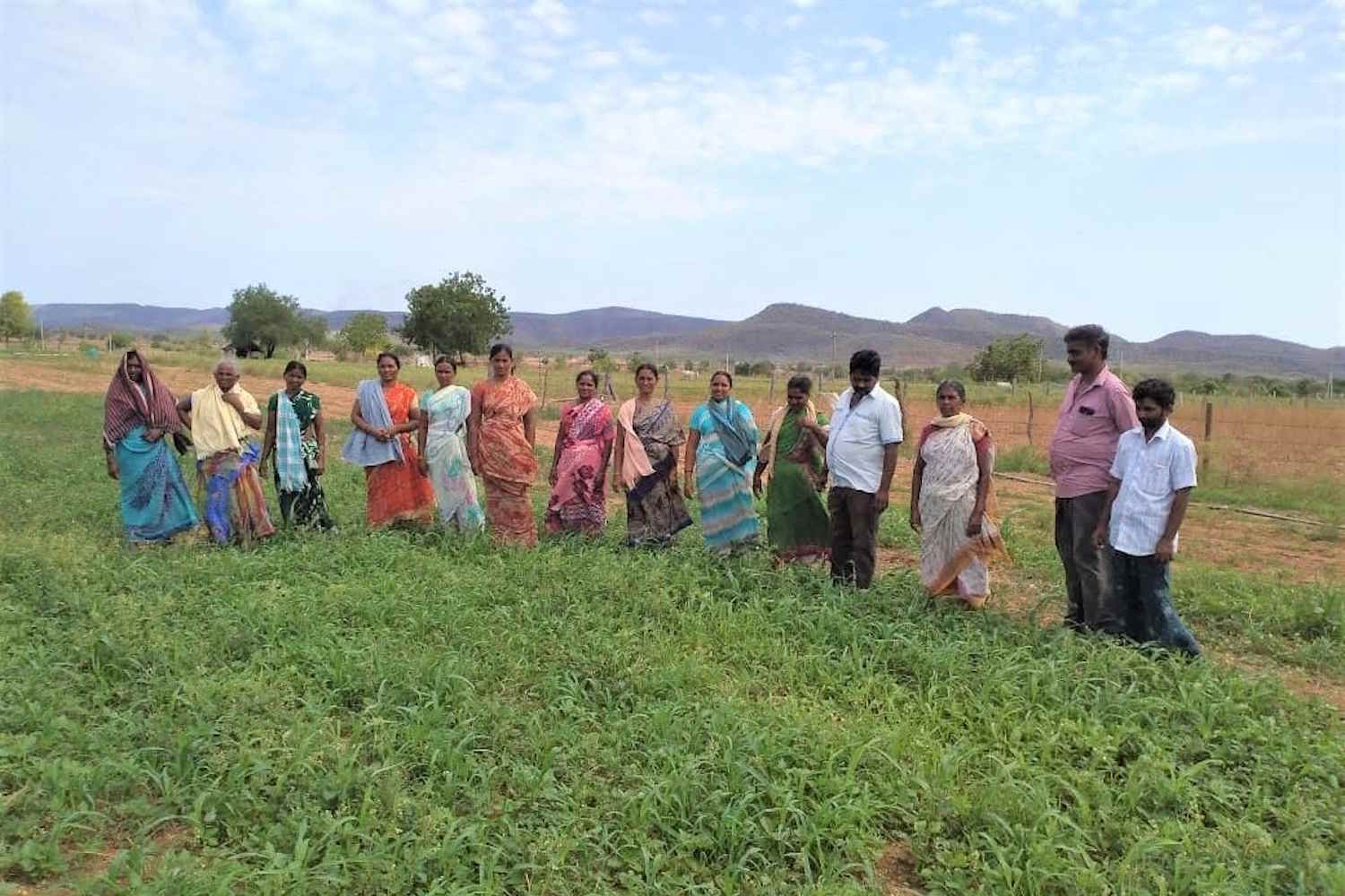 india agricoltura