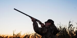 Shooting starts again on September 2nd: hunting opens early in 15 regions (after the massacre caused by the fires)