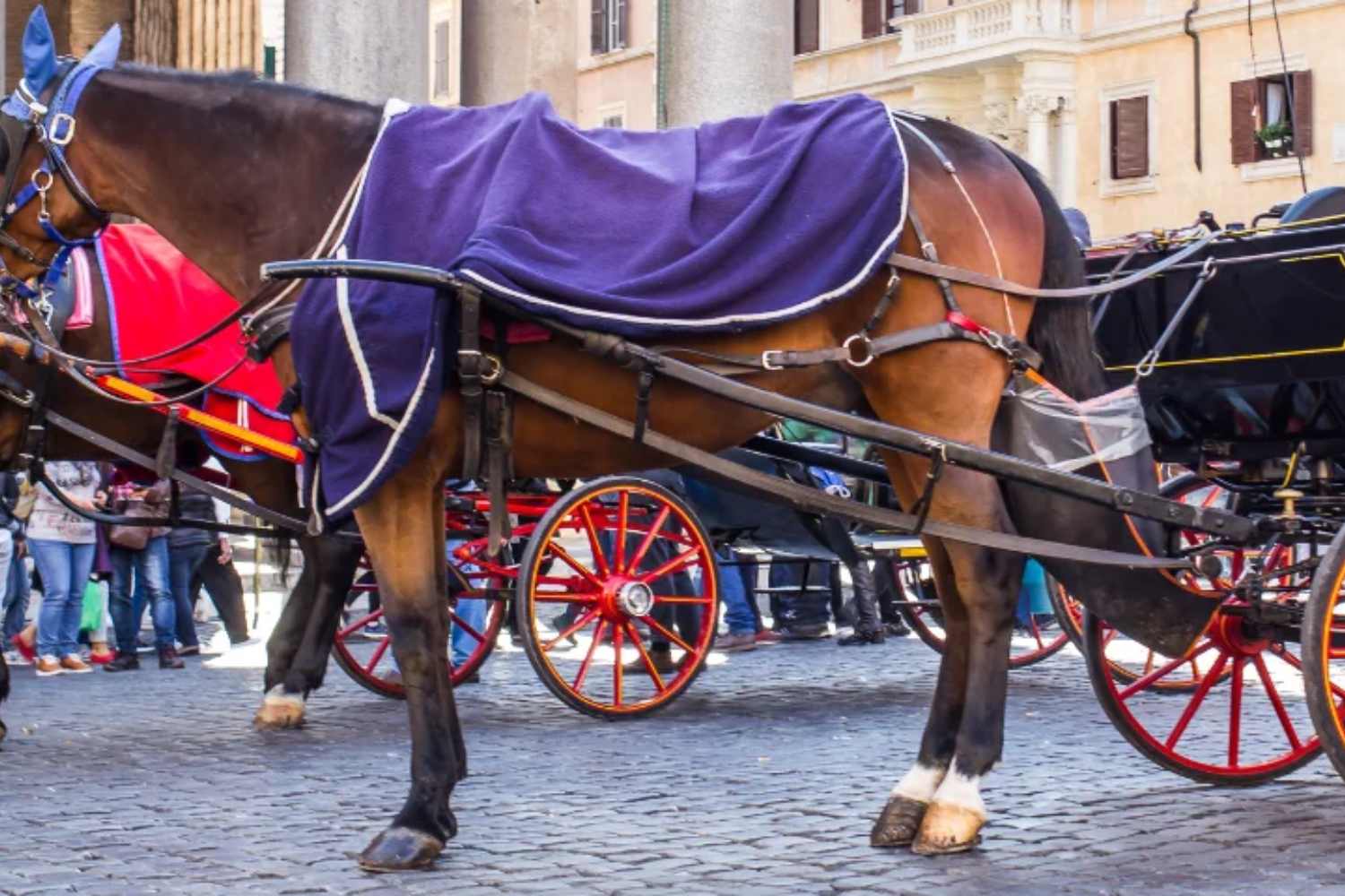 Botticelle Roma