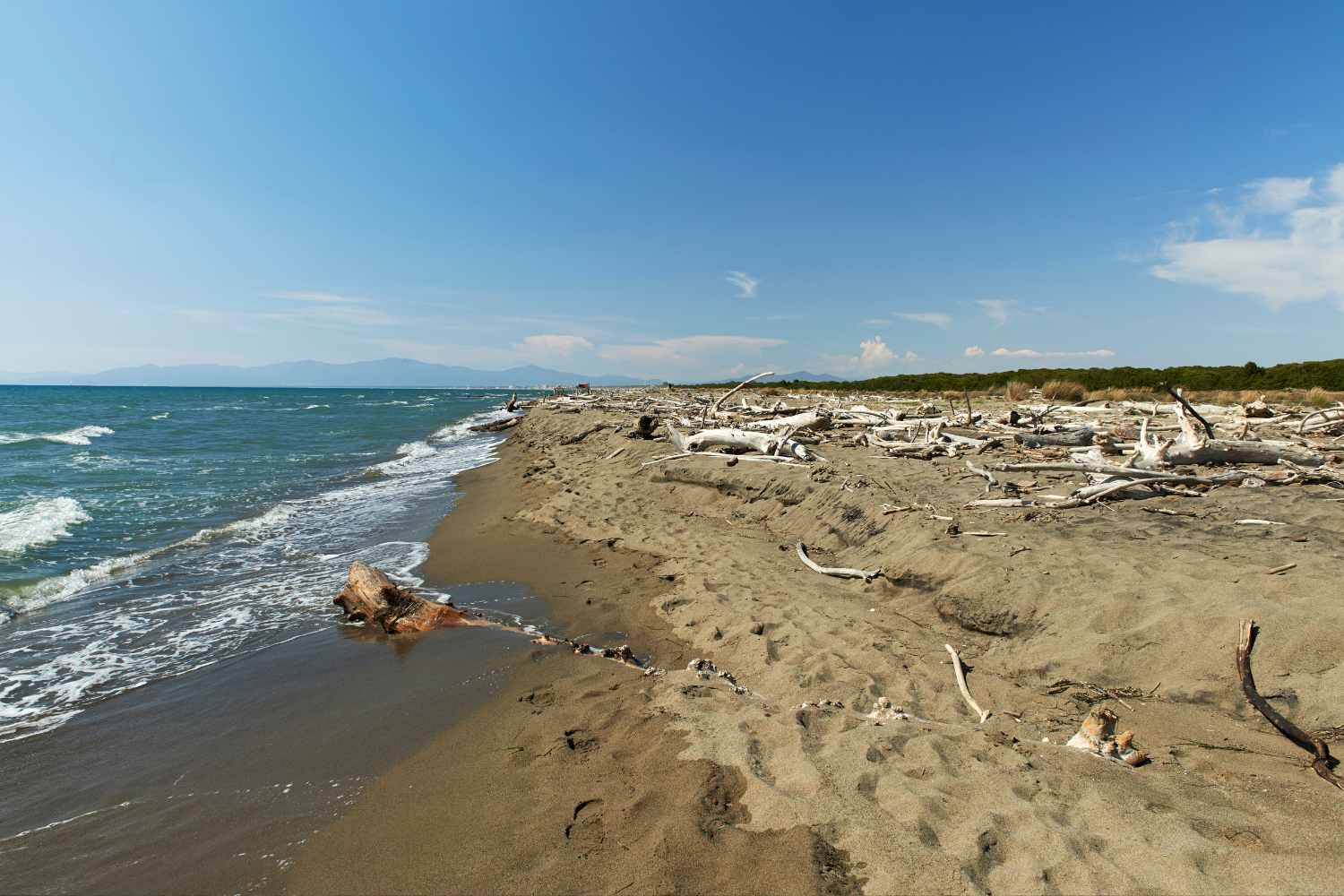 Maremma