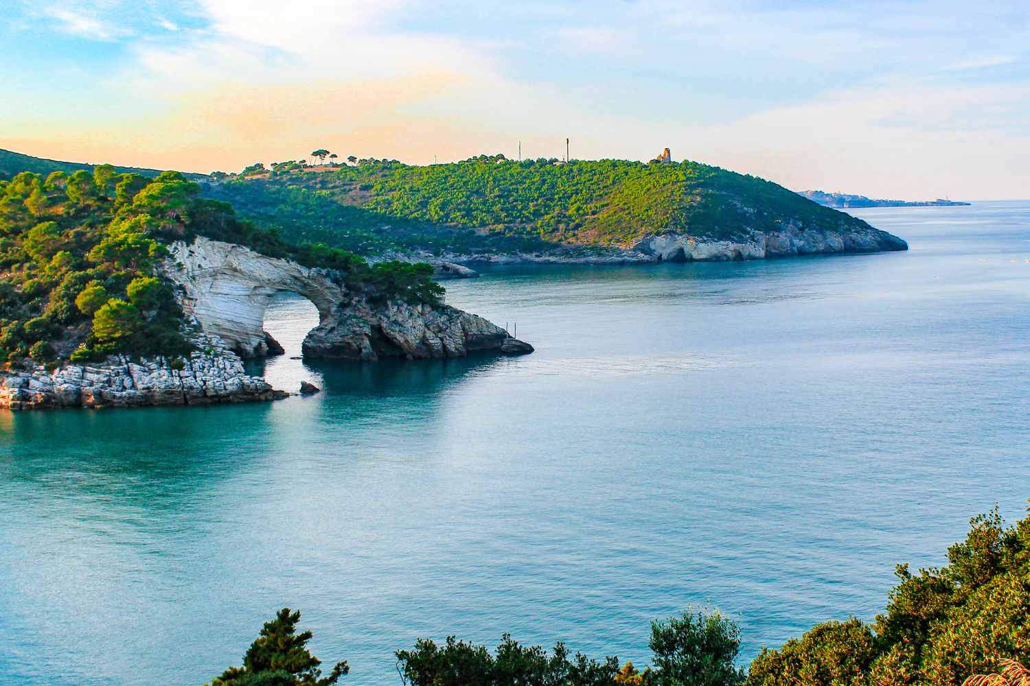 gargano