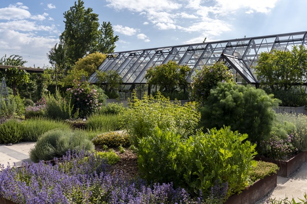 Davines garden