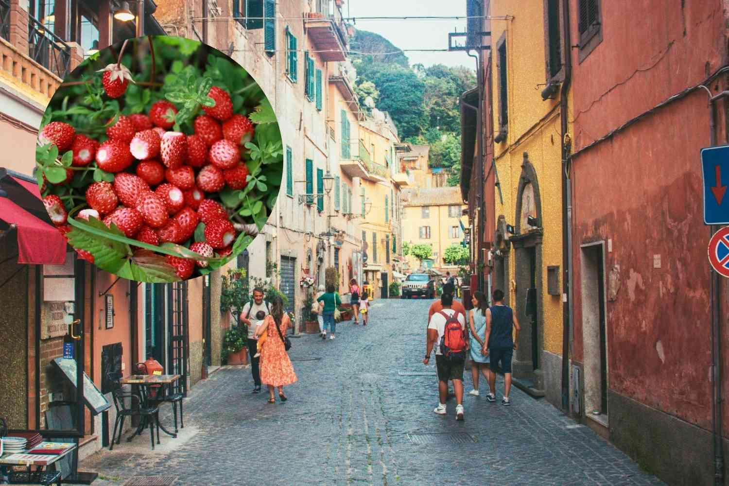 Nemi