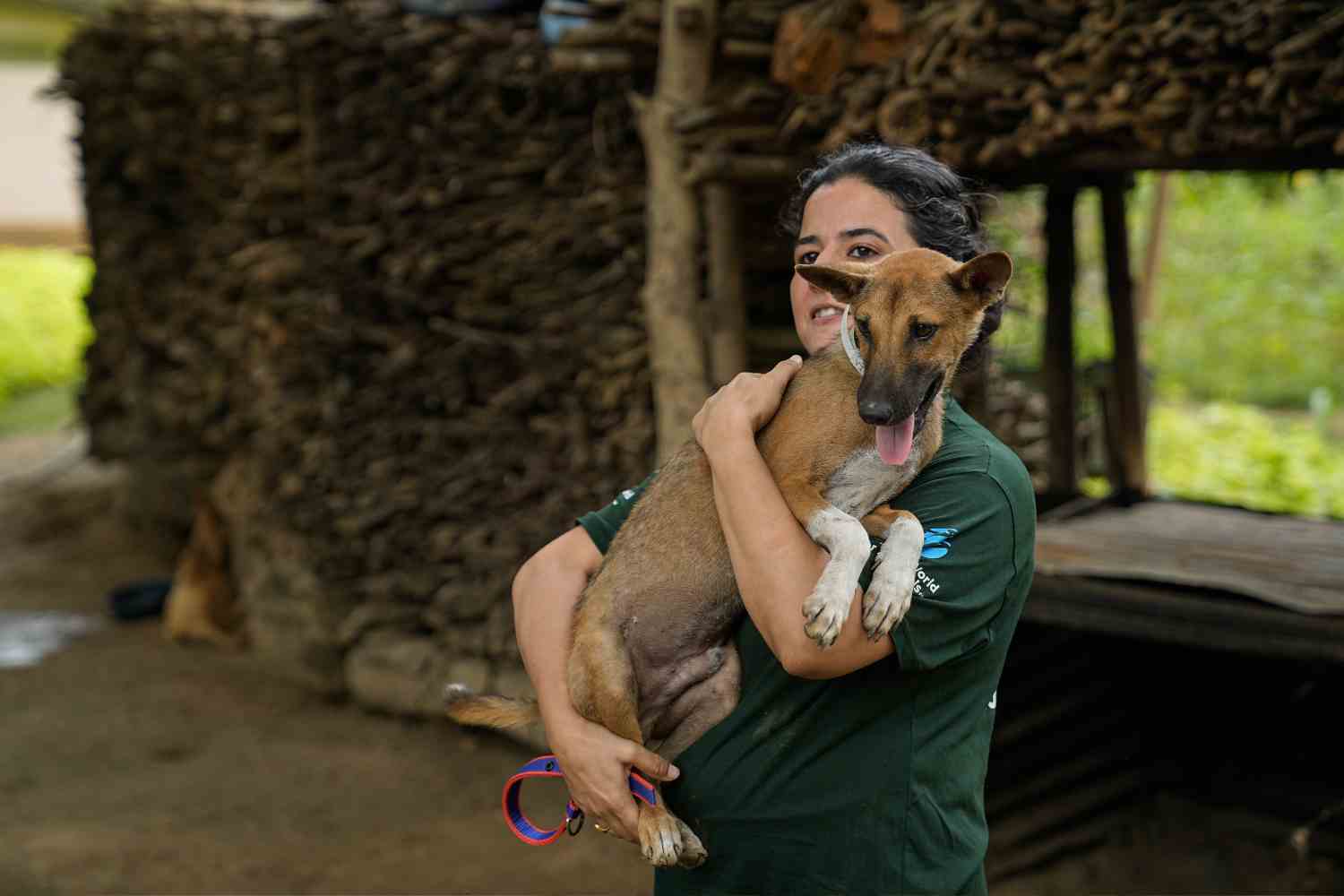 cani india