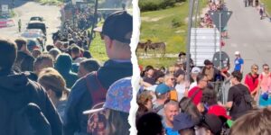 For a handful of selfies on the Tre Cime di Lavareto: the surreal queue under the sun for the bus at the “gateway to the Dolomites”