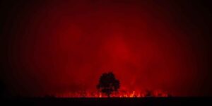 French firefighters find themselves facing a “pyrocumulonimbus” for the first time, a dangerous phenomenon never seen in France