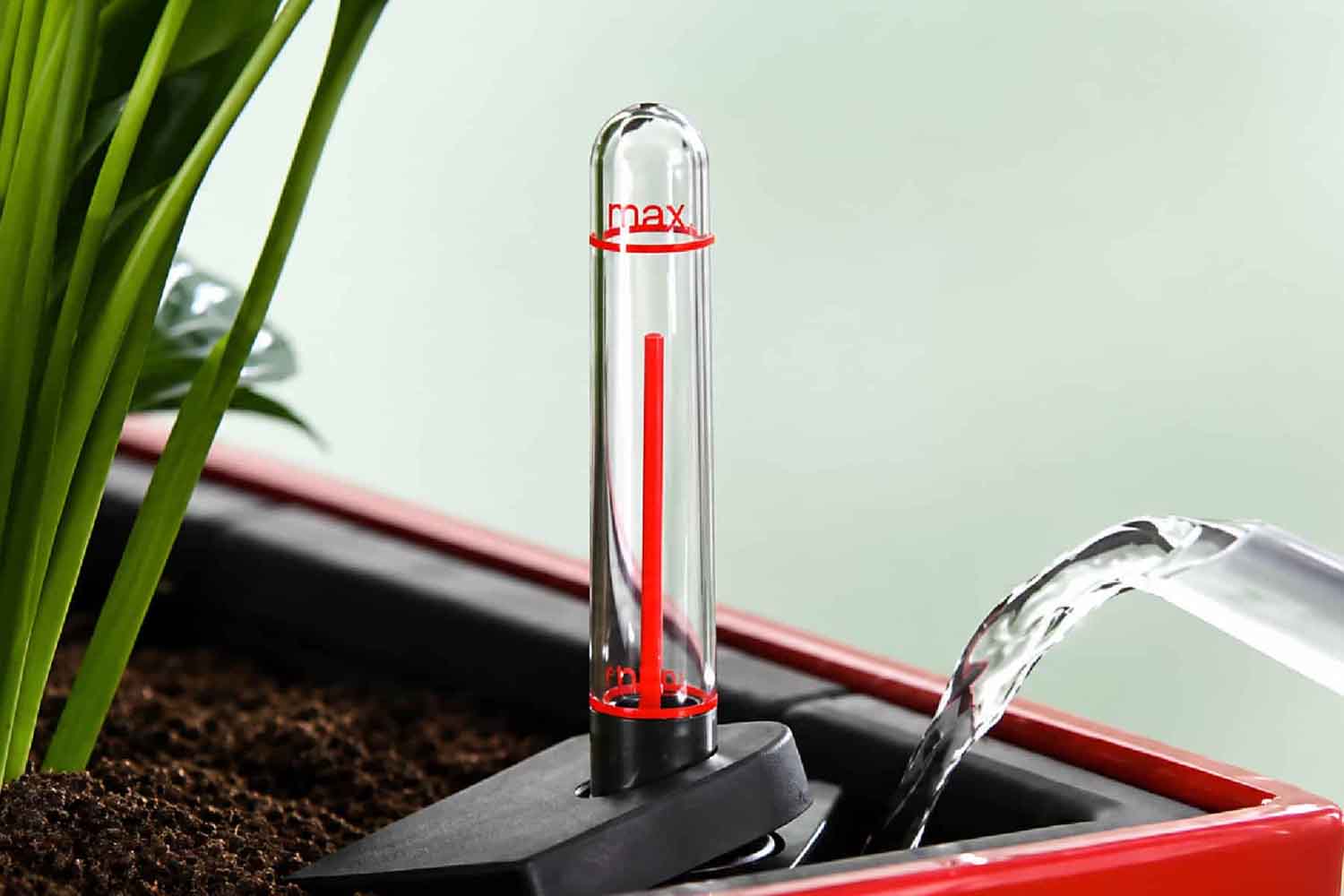 vaso autoirrigante