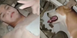 The incredible rescue of a child after 14 days under the rubble in Venezuela: “my dog ​​kept me alive by licking me”