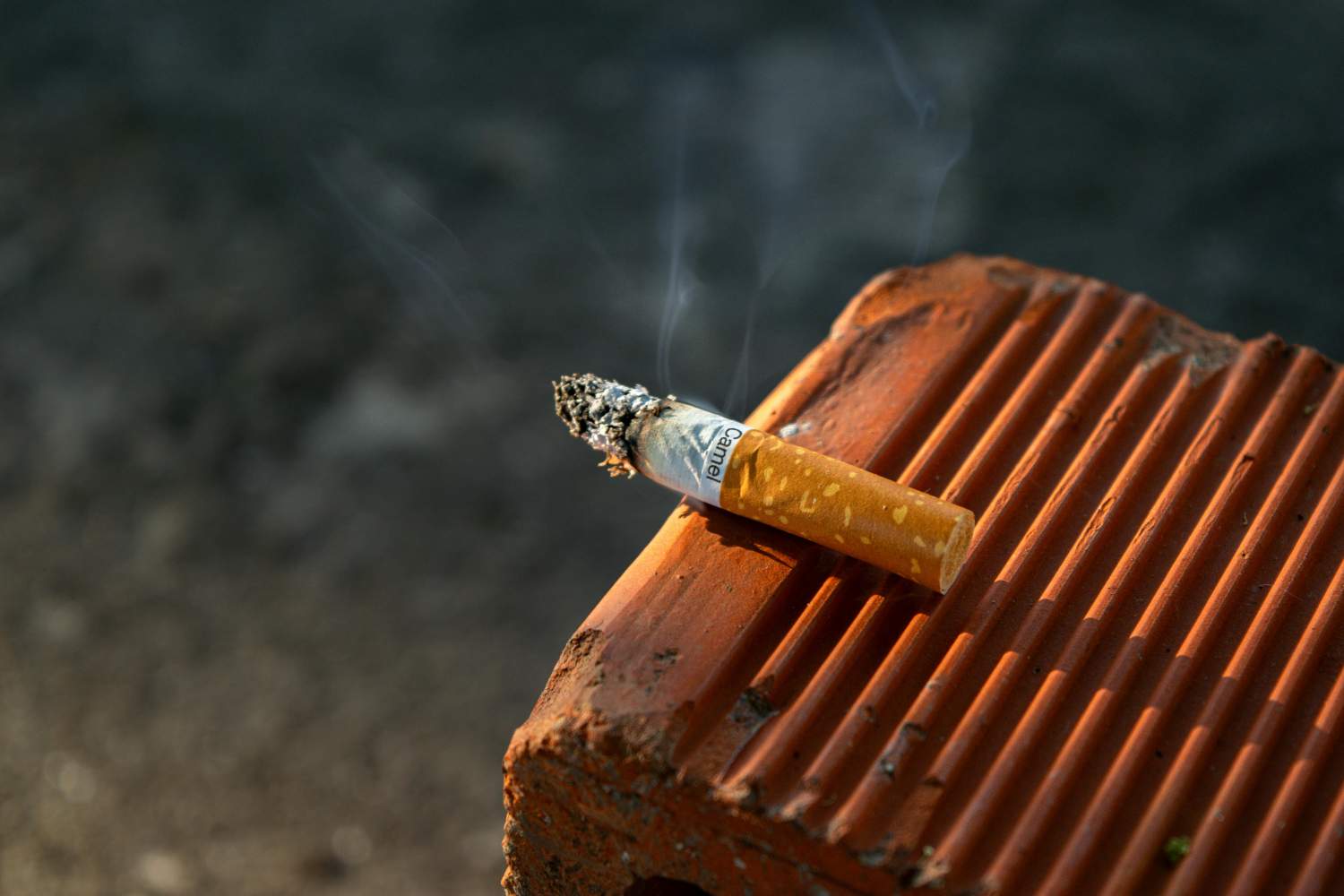 This Italian university wants to become Smoke Free: the plan to ban smoking by 2028 (recycling butts)