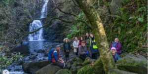 “We are literally growing the future”: volunteers save Scottish rainforest by collecting 11 million seeds