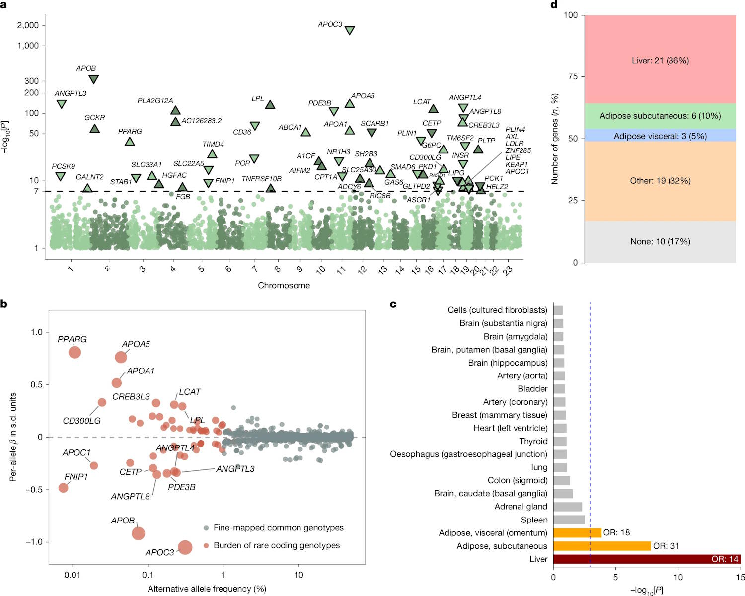 cardiovascular disease gene mutation