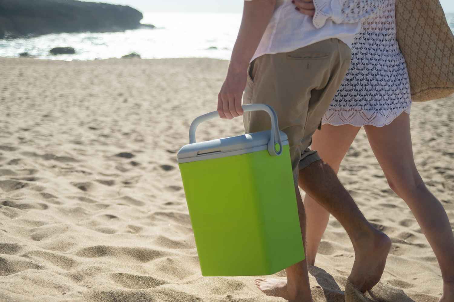 borsa frigo