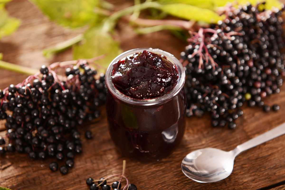 elderberry jam