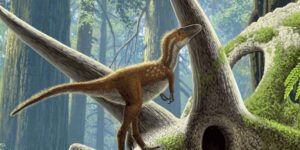 T. rex babies weighed as much as a cat and were ready to hunt