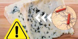 Listeria alert in Gorgonzola (also sold at Carrefour): brand and batch not to be consumed