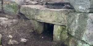 A giant’s tomb dating back around 3,800 years ago has been discovered in Sardinia: it was hidden among the vegetation