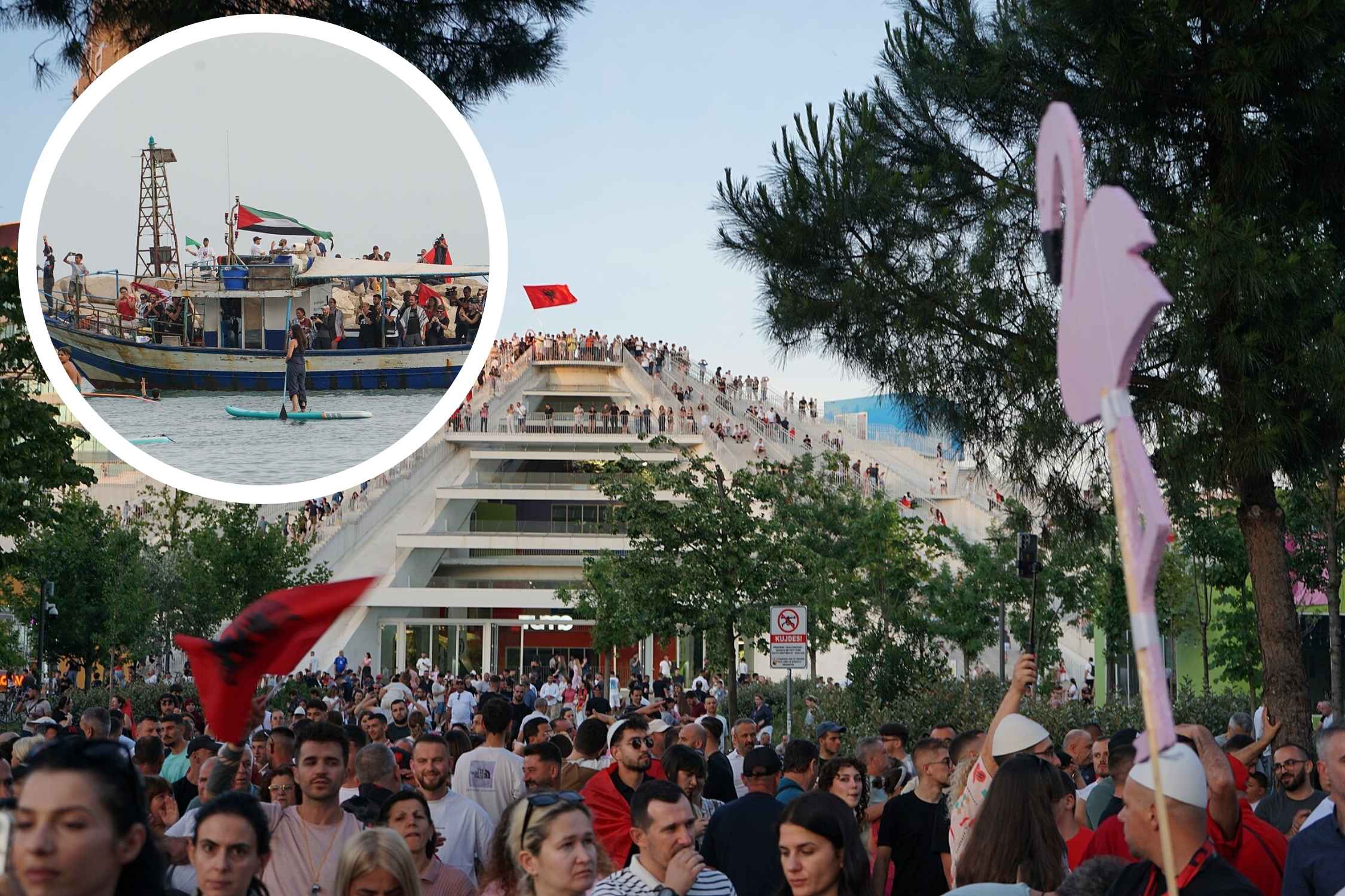A new Flotilla is ready to set sail from Brindisi to join the flamingo revolution in Albania