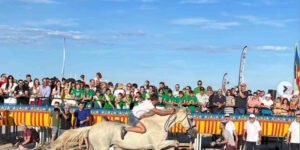 Corregudes de Joies: the crazy horse races are back on the beach of Valencia: heat, sand and controversy (but the tradition goes on)