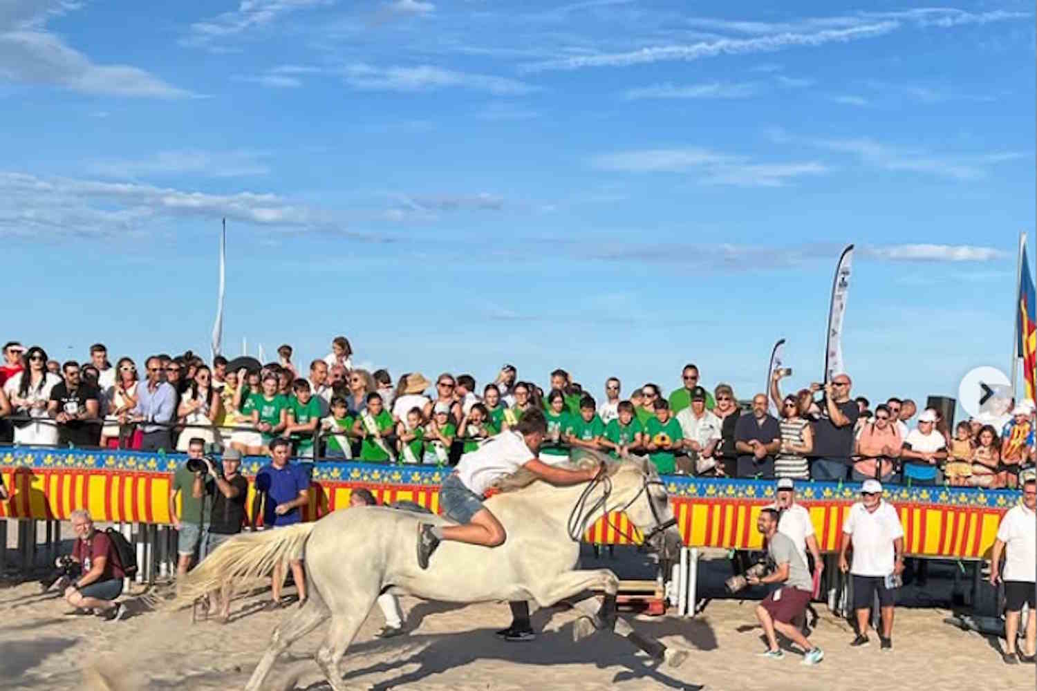 corsa cavalli valencia