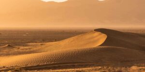 Did Neanderthals reach the desert? The answer lies in 24 ancient stone tools discovered in Arabia