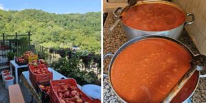 Homemade tomato puree: the 10 mistakes to never make (also to avoid the risk of botulinum)