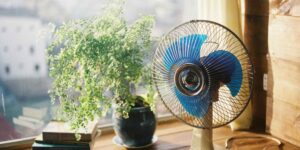 I’ll explain why, above this temperature, the fan becomes counterproductive and it is better to turn it off
