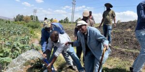 In Ethiopia a cooperative burned 2,305 liters of diesel in three months: it now irrigates its fields thanks to solar energy
