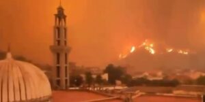 In general silence, Algeria is devastated by almost 200 fires: around 70 dead and dozens seriously injured