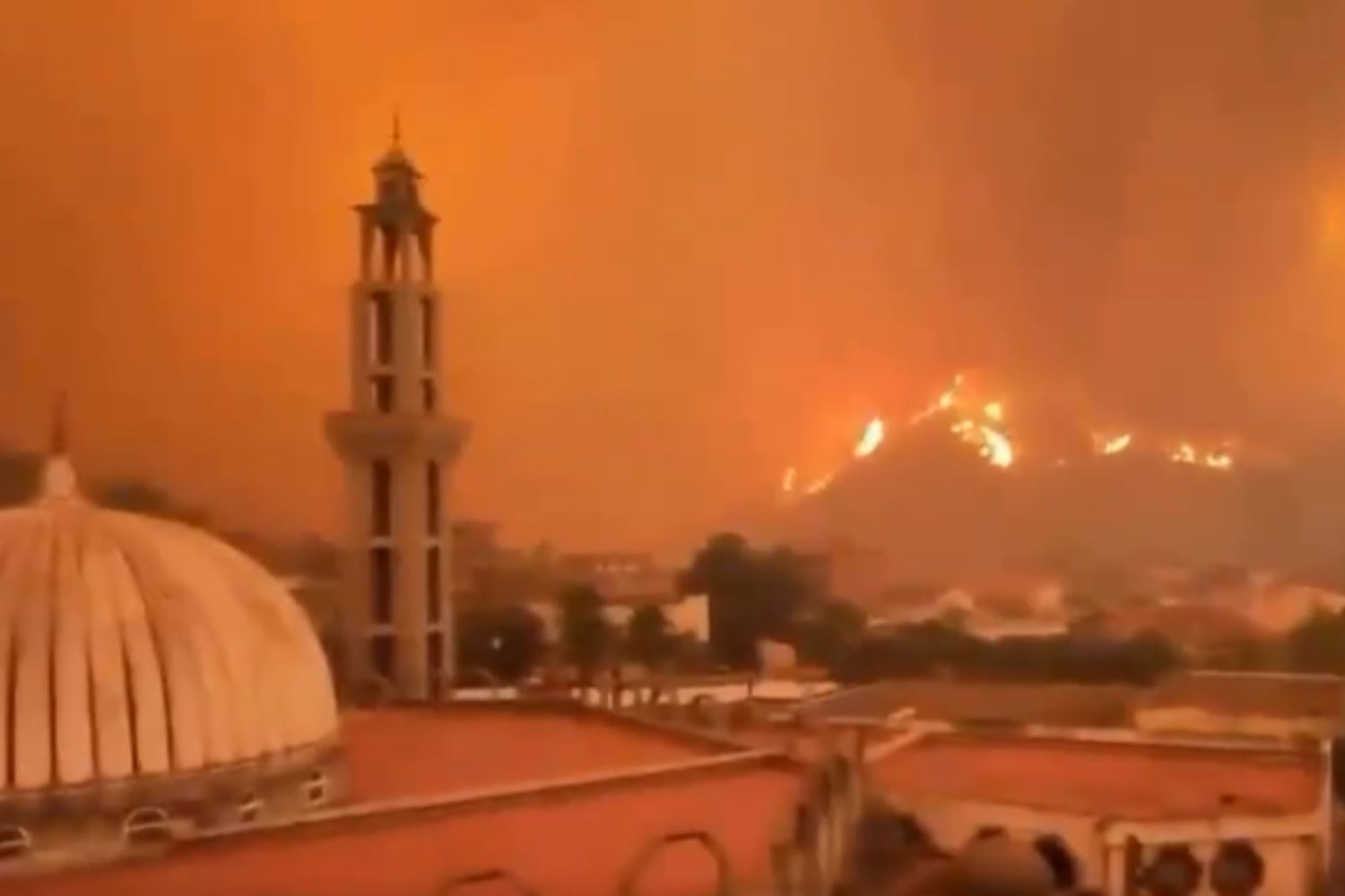 Incendi Algeria