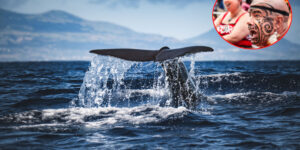 Legal personality and rights to whales, the Maori battle becomes a bill in New Zealand