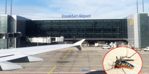 Malaria outbreak at Frankfurt airport, 2 dead and 6 employees infected: what is happening and what are the risks