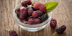Mulberry, the forgotten tree that science is reevaluating today: anti-smog, medicinal and with delicious fruits