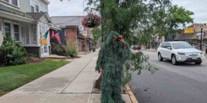 Policeman disguises himself as a plant to fine those who use cell phones while driving and issues more fines than a speed camera