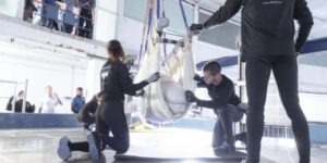 Saved from euthanasia but not from captivity: 2 more belugas and 4 dolphins from Marineland have been transferred to an aquarium