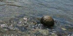 The dry Danube causes a mysterious stone sphere to emerge from the sea bed: it could be up to 2,000 years old
