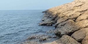 The oil leaked by the Russian “shadow fleet” is causing an environmental disaster: the oil spill spreads between Iran and Oman