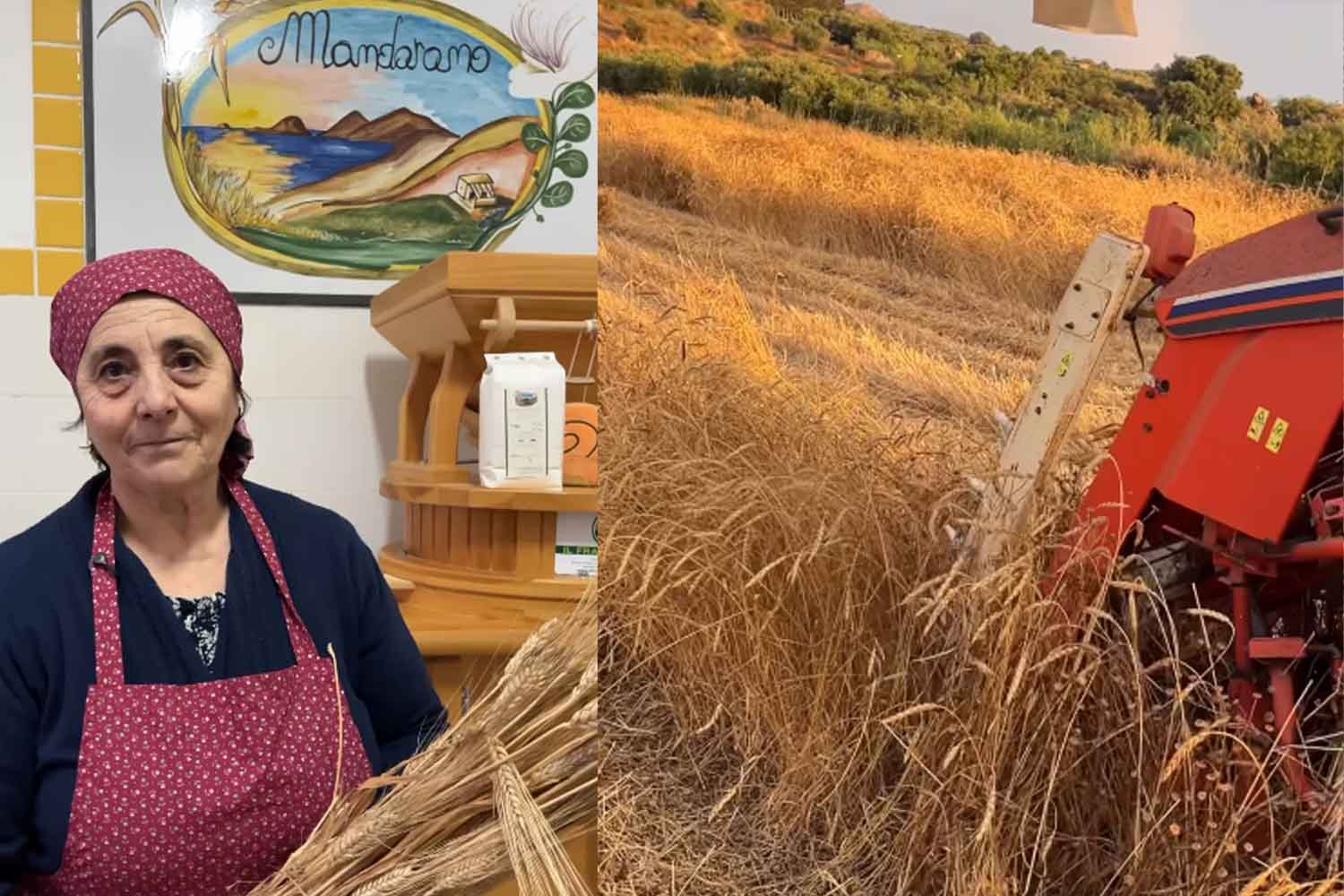 Azienda Agricola Mandarano