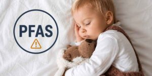 Your child’s favorite stuffed animal could be hiding PFAS: a new study found them in all 18 samples analyzed