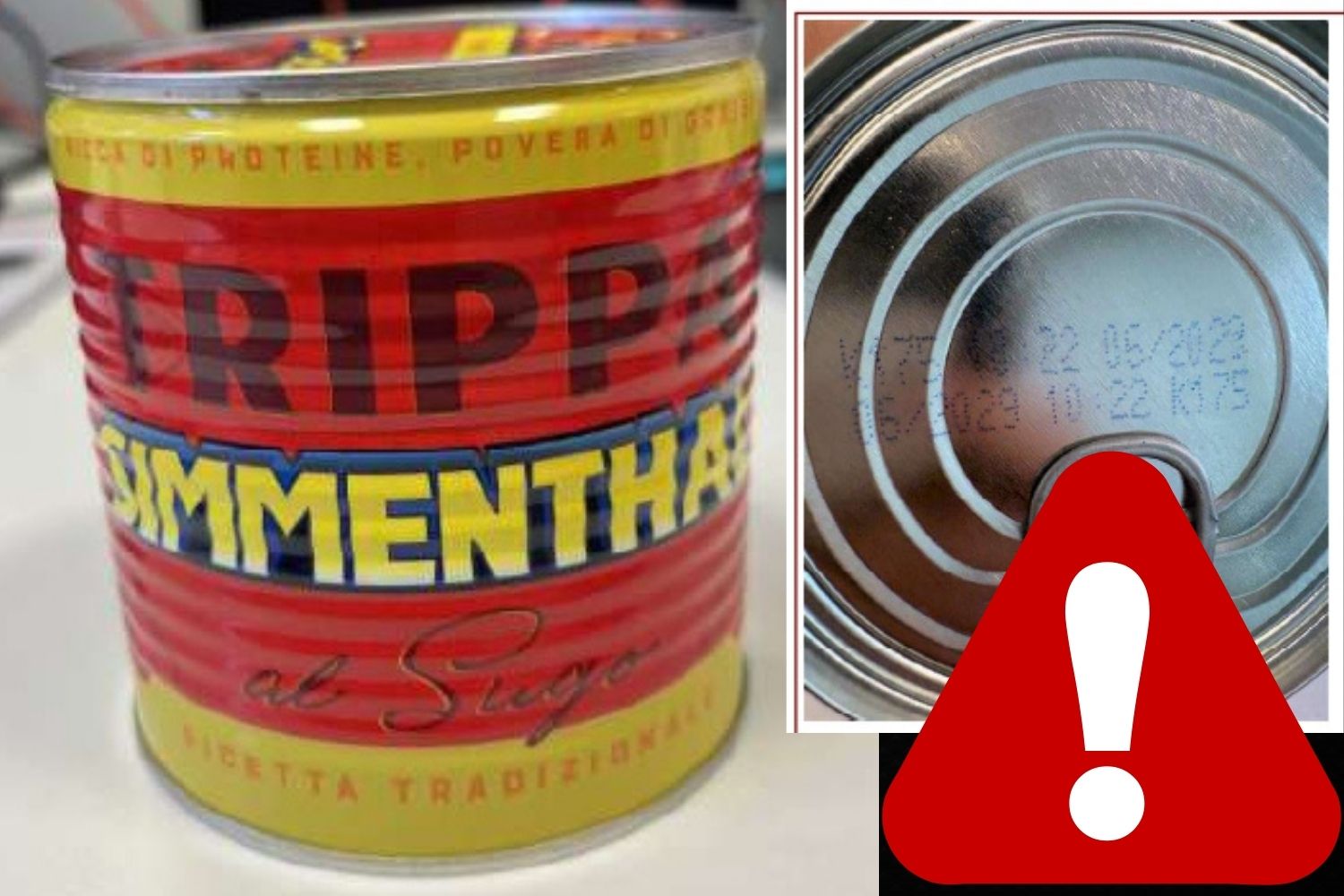 richiamo trippa 2