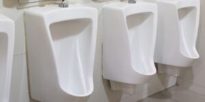 The perfect urinals imitate the strategy that dogs use to avoid wetting their paws with pee: the research wins the IgNobel prize for physics