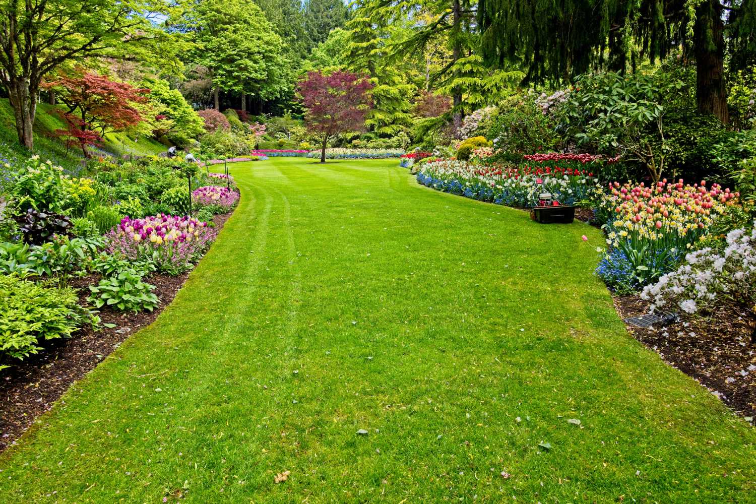 garden hygiene