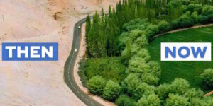 Great Green Wall: the effects of China’s gigantic reforestation are starting to be seen (and they are also surprising on the water cycle)