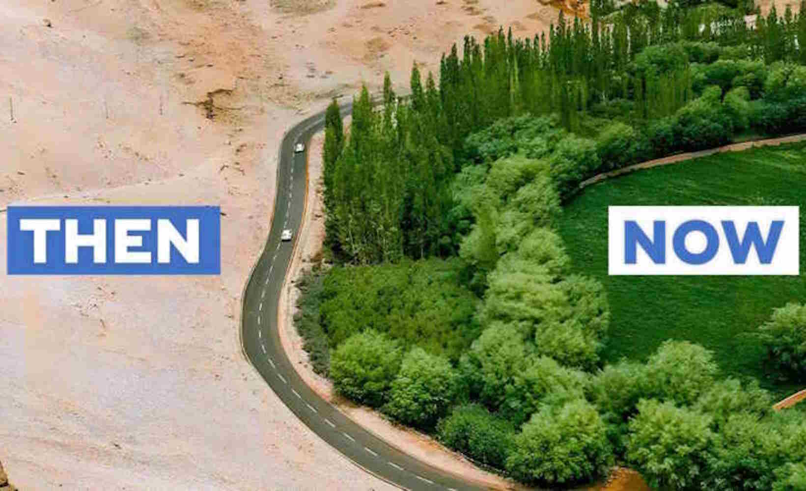 grande muraglia verde