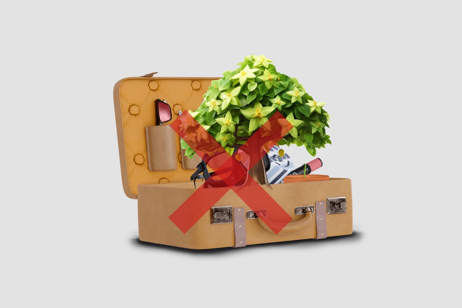 suitcase - PlantHealth4Life