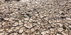 40% of the Earth will become arid by 2100: the map of the areas most at risk