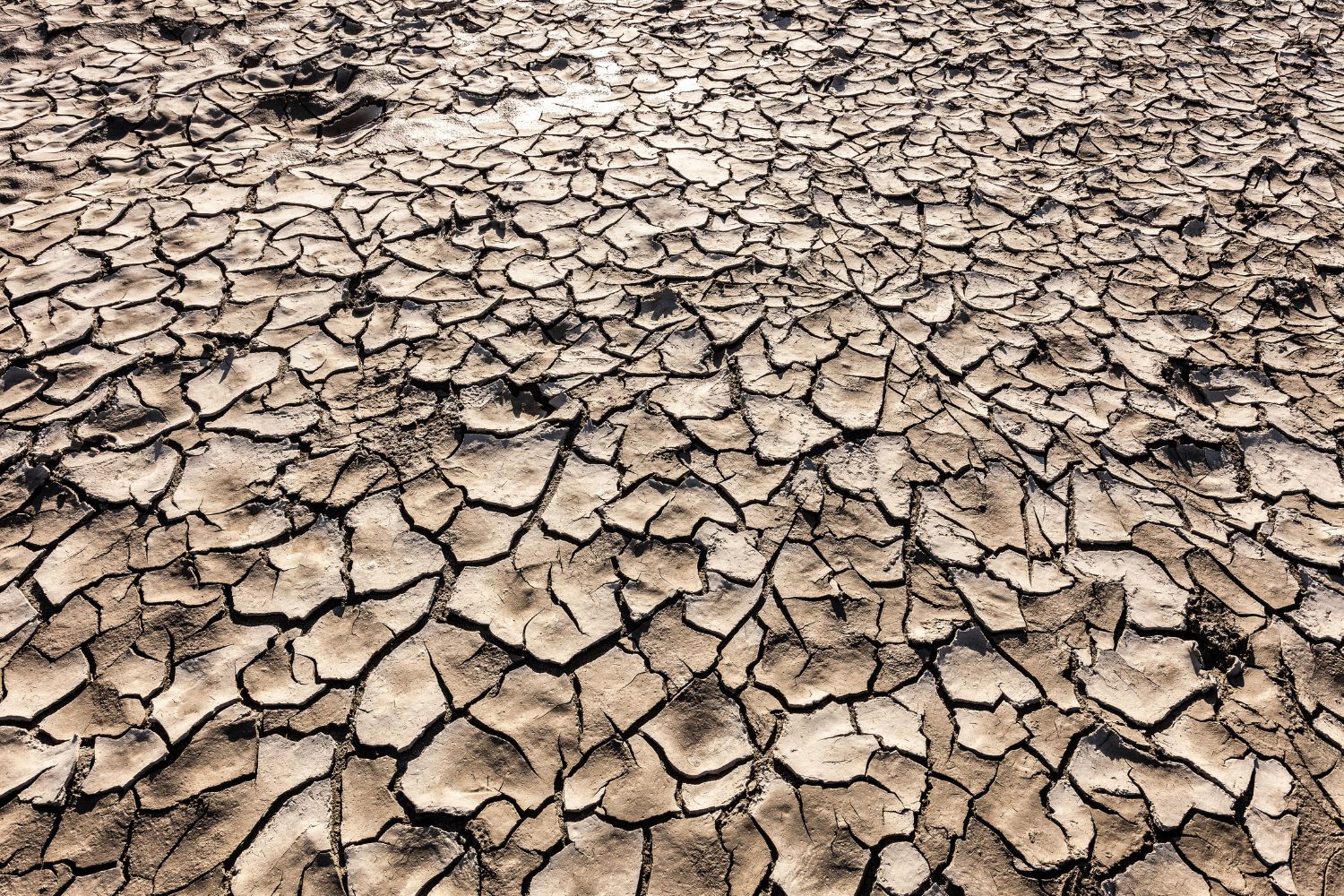 terre aride